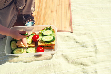 A small child at a picnic in the park in nature takes out from the box sandwiches with vegetables and herbs, snacks. Setting the table at a picnic by a child.