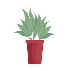 pot with plant