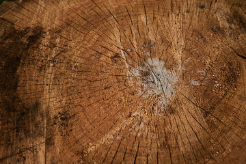 cracked wood log background wallpaper texture