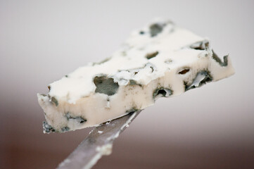 handling a very tasty piece of blue cheese