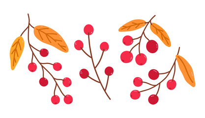 Set of twigs with cranberries and golden leaves isolated on a white background. Vector hand-drawn illustration in cartoon flat style. Perfect for your project, cards, logo, decorations.