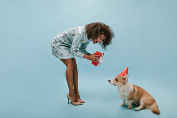 Stylish girl with dark hair in modern dress and shoes holding red gift box and posing with small dog in holiday cap on blue backdrop..