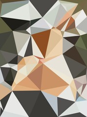 beautiful color of abstract background