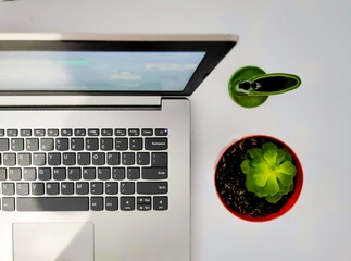 laptop computer with leaf