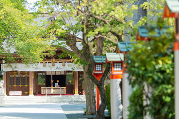 nobody at main shrine of suzuka with lined up red lanterns surrounded by trees with green leaves,...