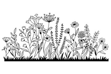 Hand drawn wildflower meadow Style vector illustration, Flower and leaf herbs isolated on white Background, Invitation, Wedding card, Greeting card, Posster. - obrazy, fototapety, plakaty