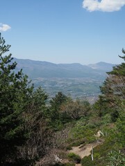 Asama Plateau Rhododendron Garden Festival and Hiking