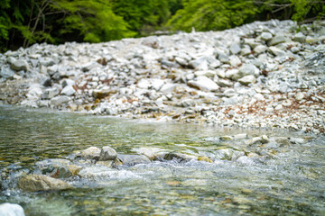 檜洞丸の初夏の登山道の風景 Scenery of the Hinodomaru trail in early summer