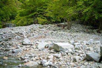檜洞丸の初夏の登山道の風景 Scenery of the Hinodomaru trail in early summer