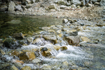 檜洞丸の初夏の登山道の風景 Scenery of the Hinodomaru trail in early summer