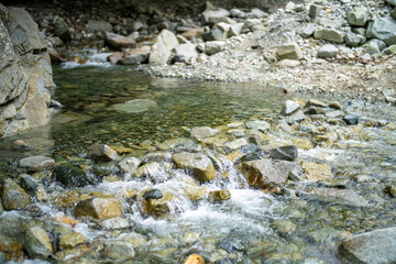 檜洞丸の初夏の登山道の風景 Scenery of the Hinodomaru trail in early summer