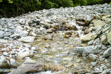 檜洞丸の初夏の登山道の風景 Scenery of the Hinodomaru trail in early summer