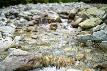 檜洞丸の初夏の登山道の風景 Scenery of the Hinodomaru trail in early summer