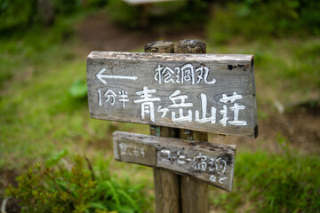 檜洞丸の初夏の登山道の風景 Scenery of the Hinodomaru trail in early summer