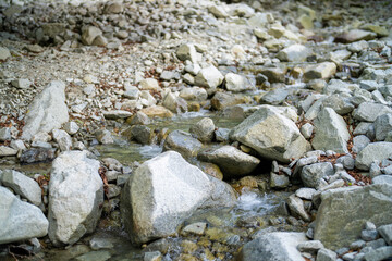 檜洞丸の初夏の登山道の風景 Scenery of the Hinodomaru trail in early summer