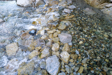 檜洞丸の初夏の登山道の風景 Scenery of the Hinodomaru trail in early summer