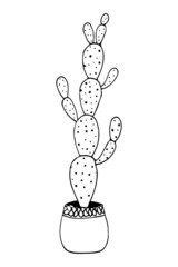 doodle illustration cactus black on white beautiful succulent line art icon