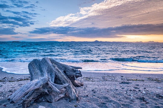 流木と砂浜/湘南、葉山/秋谷海岸のサンセットタイム/夕暮れの海