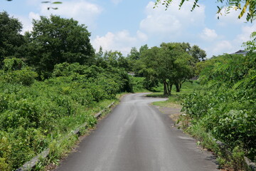 公園