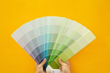 Color scale to choose paint