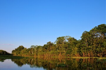 Fototapeta na wymiar The mirror in the Amazon river