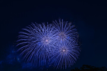 Fireworks on Black background in japan summer season