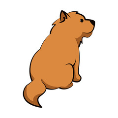 Obraz na płótnie Canvas chow chow dog cute cartoon flat design