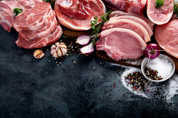 Different types of raw meat on black background