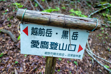 愛鷹山黒岳の初夏の登山道の風景 View of the trail in early summer at Mount Ashitaka Kurodake