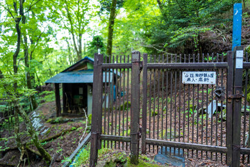 愛鷹山黒岳の初夏の登山道の風景 View of the trail in early summer at Mount Ashitaka Kurodake