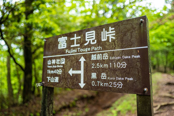 愛鷹山黒岳の初夏の登山道の風景 View of the trail in early summer at Mount Ashitaka Kurodake