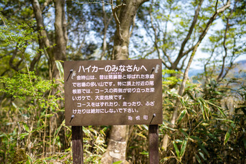 金時山の初夏の登山道の風景 A view of the trail in early summer at Mount Kintoki