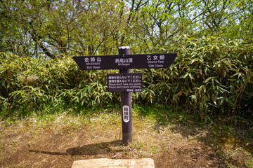 金時山の初夏の登山道の風景 A view of the trail in early summer at Mount Kintoki