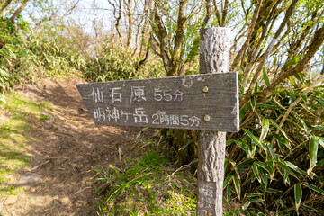 金時山の初夏の登山道の風景 A view of the trail in early summer at Mount Kintoki