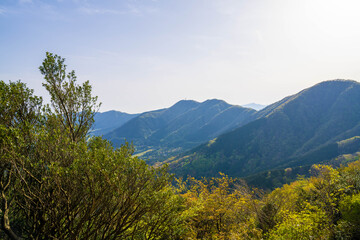 Obraz premium 金時山の初夏の登山道の風景 A view of the trail in early summer at Mount Kintoki