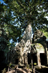 캄보디아 타 프롬