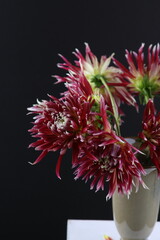 어둠속에서 빛나는 꽃사진