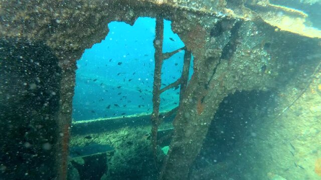 School of fish swimming along  shipwreck Michelle, Dugi Otok, Croatia.