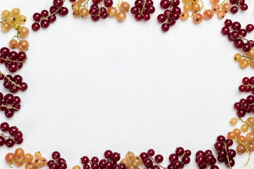 Red and white currants around the edges of white background. Berry background. Flat lay.