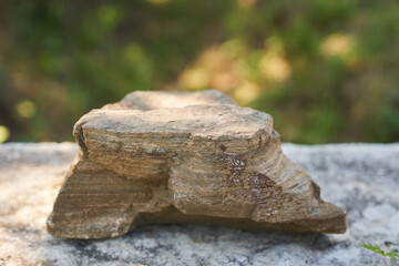 Stone on the background of green plants, the perfect podium for your product, natural background with textured pedestal. High quality photo