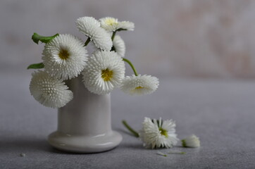 Fototapeta na wymiar A bouquet of white daisies in a white ceramic pile.