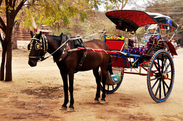 Fototapeta na wymiar Burmese sit ride horse drawn carriages and waiting for burma people and foreign travelers use service travel visit tour Bagan or Pagan at Dhammayangyi paya at on February 3, 2013 in Mandalay, Myanmar
