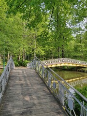 Obraz premium bridge in the forest and lake with reflection