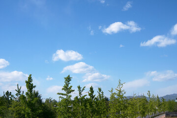 Fototapeta premium Good weather in the north, cloudy weather
