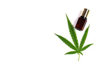 Cannabis hemp essential oil  with fresh organic marijuana green leaf on white background.