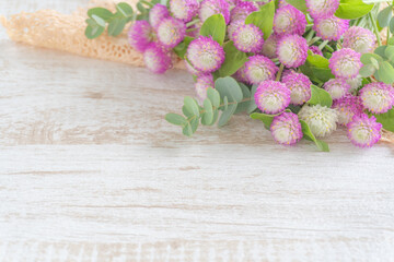 ピンクと白のセンニチコウとレースのナチュラルな背景