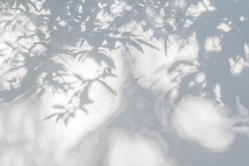 Leaf shadow and light on wall blur background. Nature tropical leaves tree branch shadow overlay...