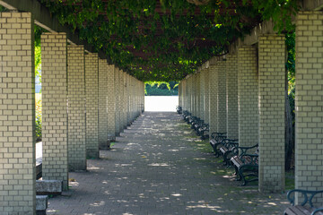 散歩道