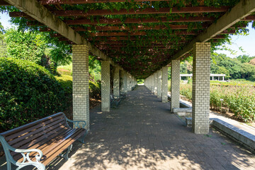 散歩道