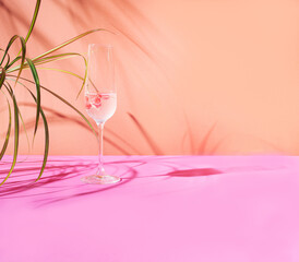 A glass of cocktail with red currant. A glass of champagne posh concept arrangement against terracotta and light purple background with leafs and shade.